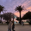 2025-05-24-080-v00