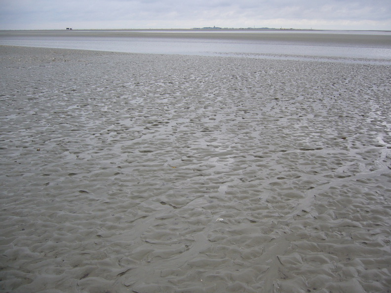 2006-06-17a-011-v01.jpg