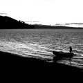 2009-03-15b-009-v03