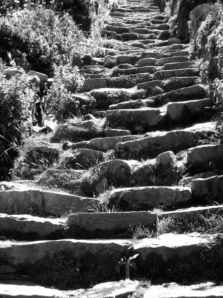 2009-03-16a-008-v04.jpg