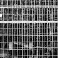 2009-05-04b-015-v00