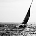 2013-10-03-005-v02